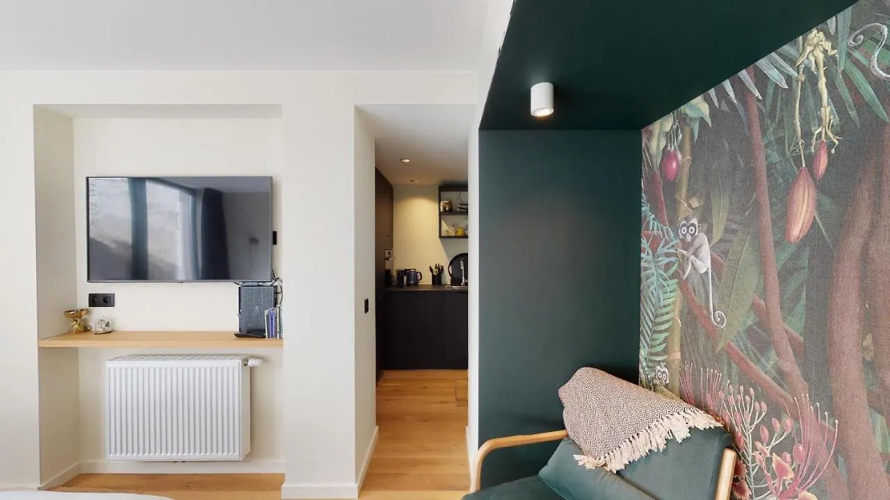 Suite Lumineuse A Saint-Gilles Brussels